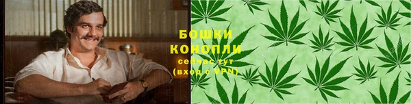 мескалин Заводоуковск