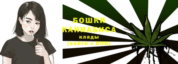 мескалин Заводоуковск