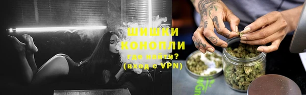 индика Зеленокумск
