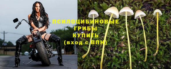 бошки Заволжск
