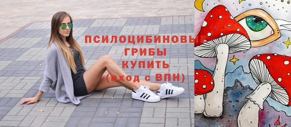 мескалин Заводоуковск