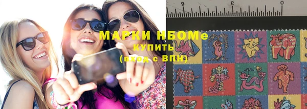 индика Зеленокумск