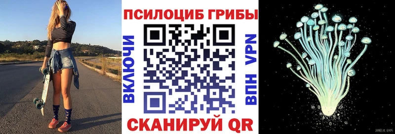 где купить   Кизляр  hydra   Галлюциногенные грибы Psilocybine cubensis 